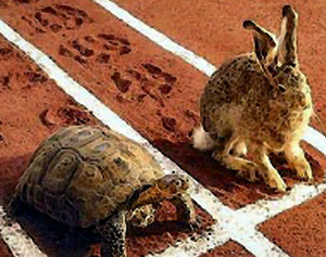 File:tortoise-and-hare.jpg
