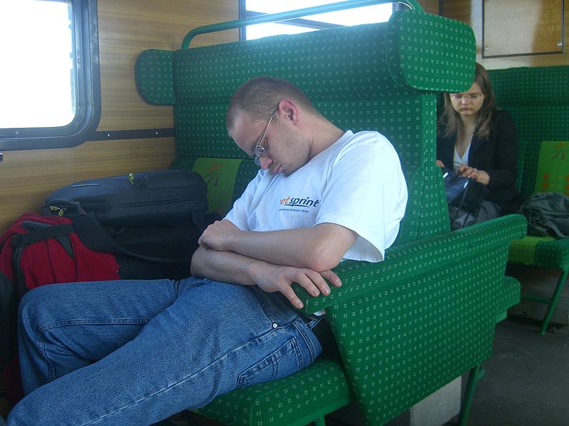 File:Konferencja Wikimedia 2007 - zagubieni w akcji - Nemo5576 śpiący w pociągu.jpg