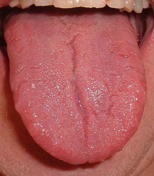 File:Tongue.agr.jpg