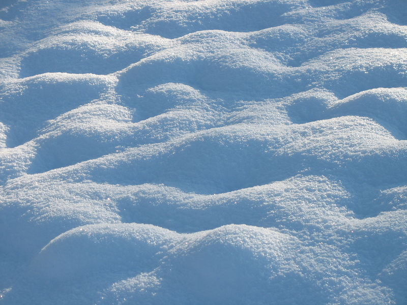 File:Field-with-snow-champ-enneige.jpg