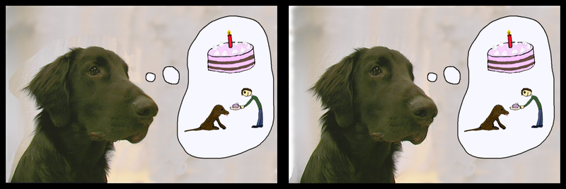 File:Gordie want birthday cake stereographic parallel.png
